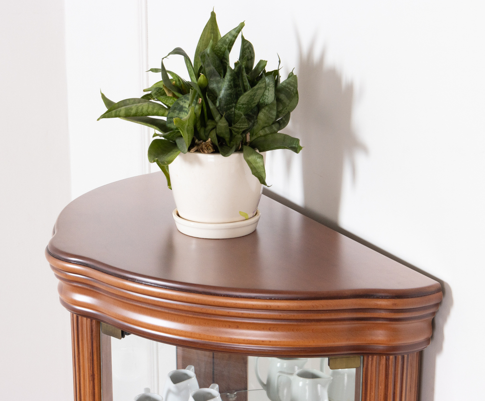 Витрина низкая 66 Cerezo IDC